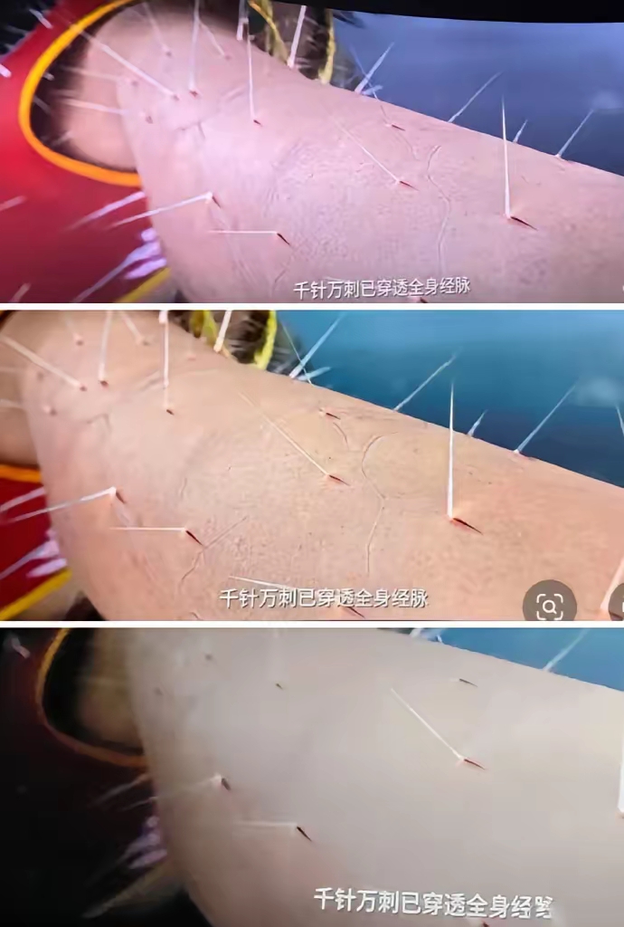 原来不同影院的区别这么大啊