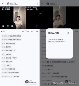 f23c48c8c91a4a559d3f0da2db3624aa_1734640415153.jpeg